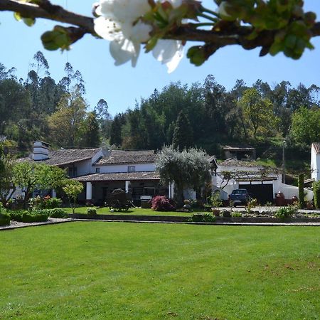 Quintal De Alem Do Ribeiro-Turismo Rural Lousa  Exterior photo