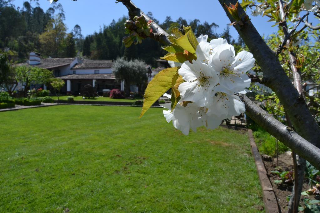 Quintal De Alem Do Ribeiro-Turismo Rural Lousa  Exterior photo